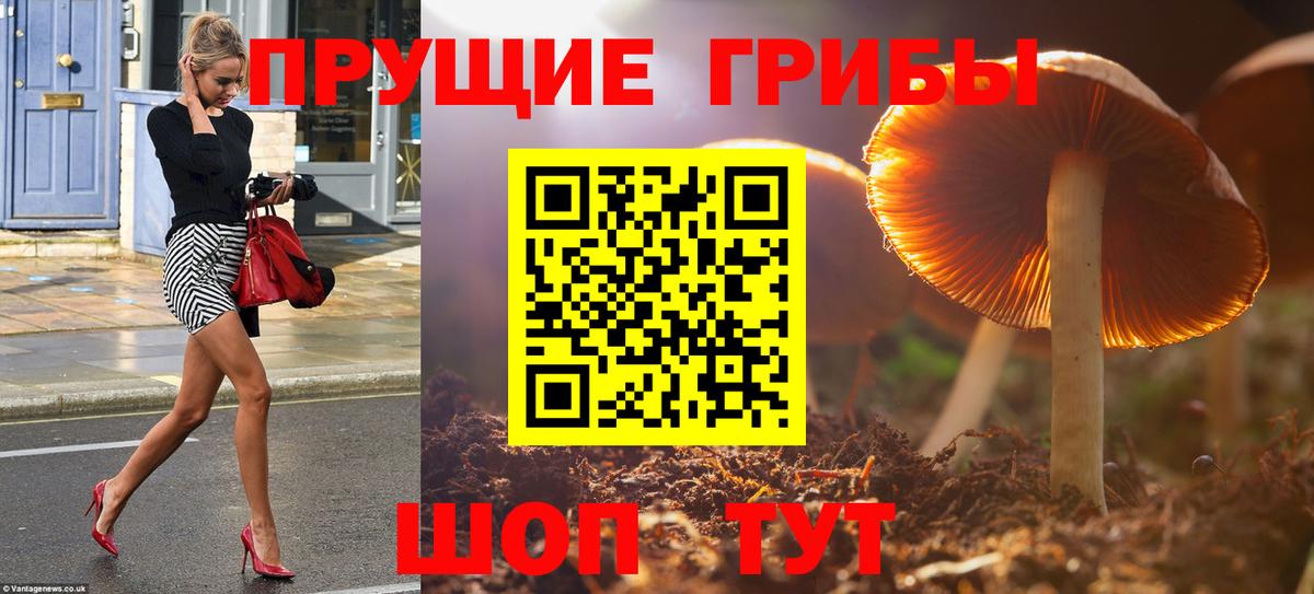 ГЕРОИН Ростов-на-Дону